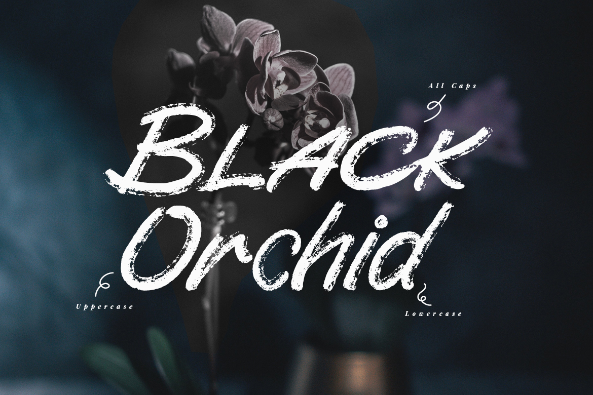 FH Scaratick – Handwritten Font